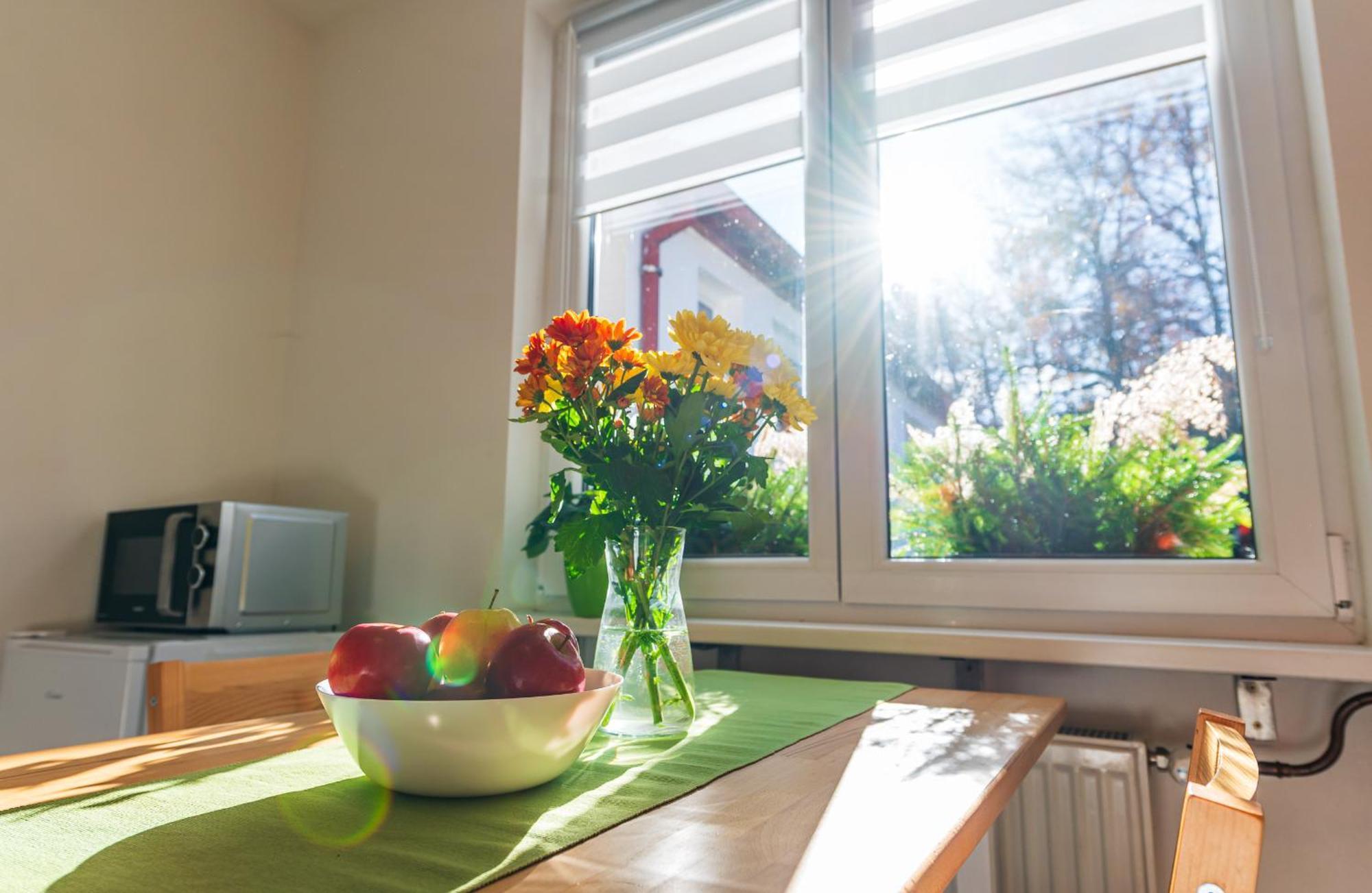 Ubytovani Na Samote - Apartman U Tesaru Komarice Exterior photo